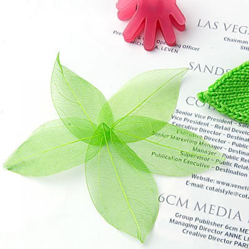 Natural Catbrier Skeleton Leav - Craft Embellishments incelemesi ve fiyatı