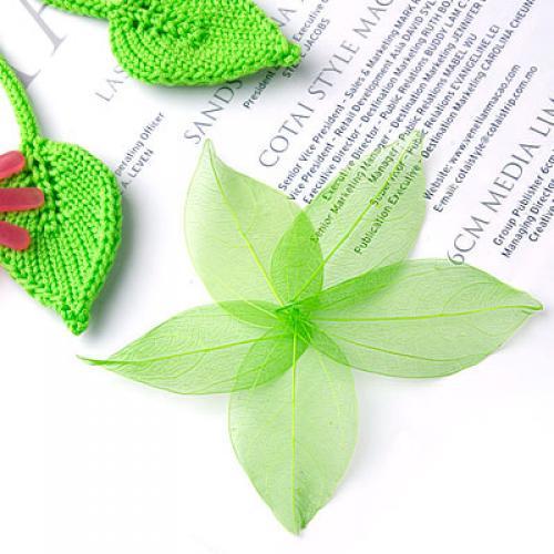 Natural Catbrier Skeleton Leav - Craft Embellishments incelemesi ve fiyatı