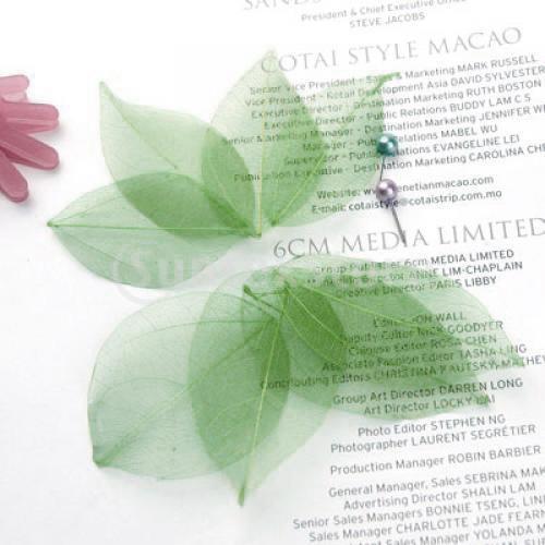 Natural Catbrier Skeleton Leav - Craft Embellishments incelemesi ve fiyatı