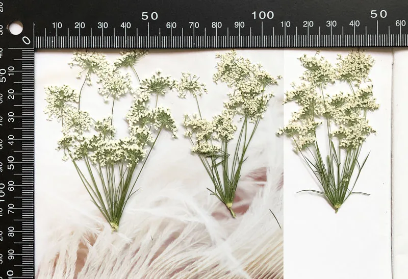 5-7cm/12pcs,Snow Tiny Flowers  - Craft Embellishments incelemesi ve fiyatı