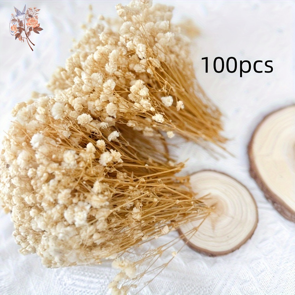 100pcs Mini Dried Baby's Breat - Craft Embellishments incelemesi ve fiyatı